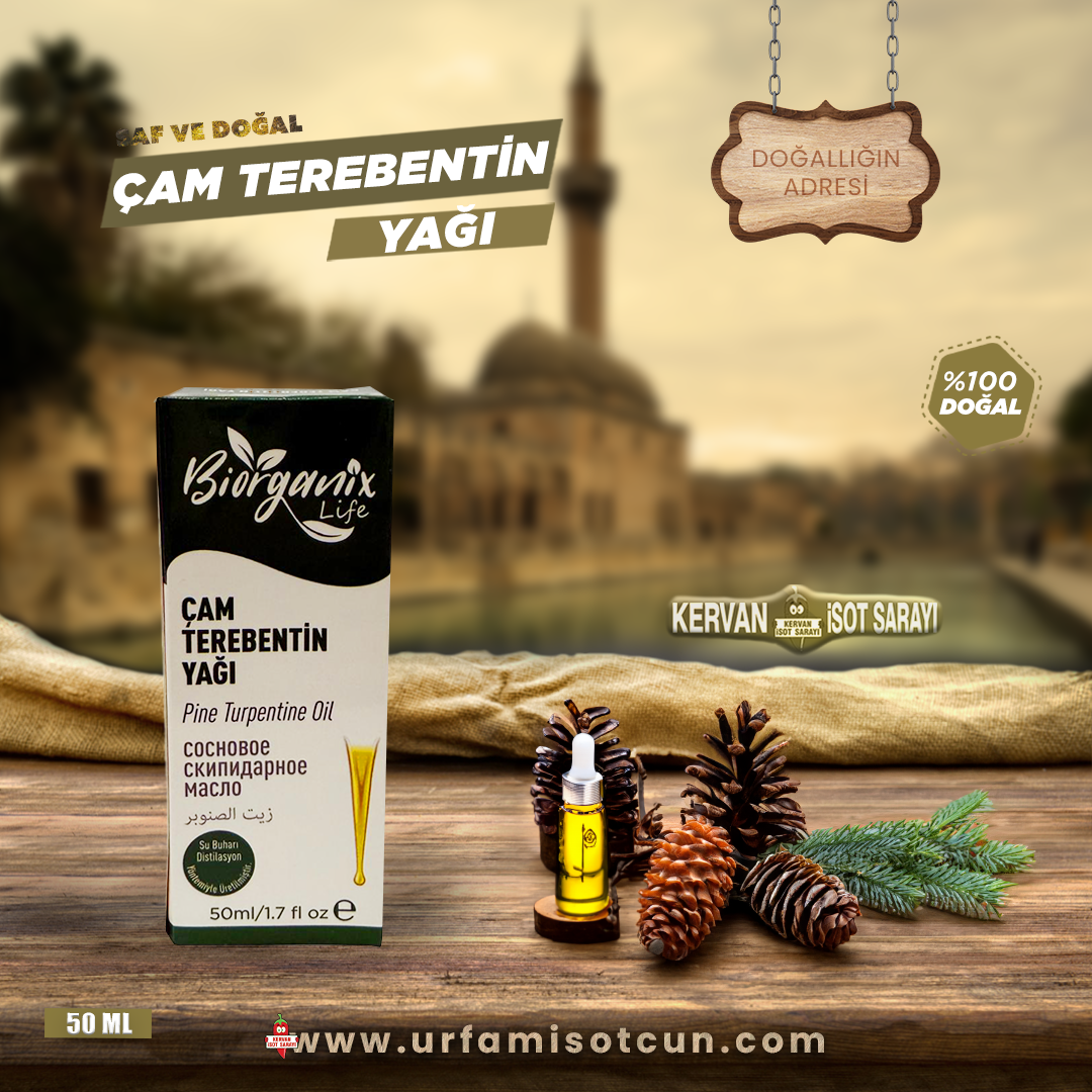 Çam Terebentin yağı