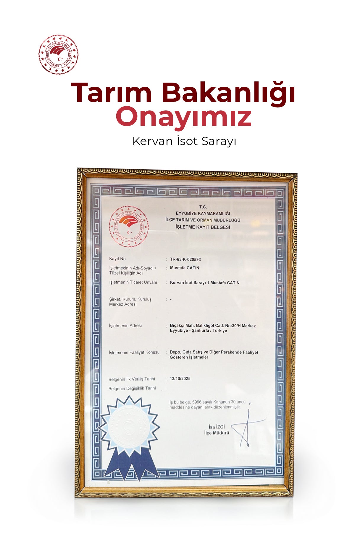IŞGIN SİRKESİ 500GRM