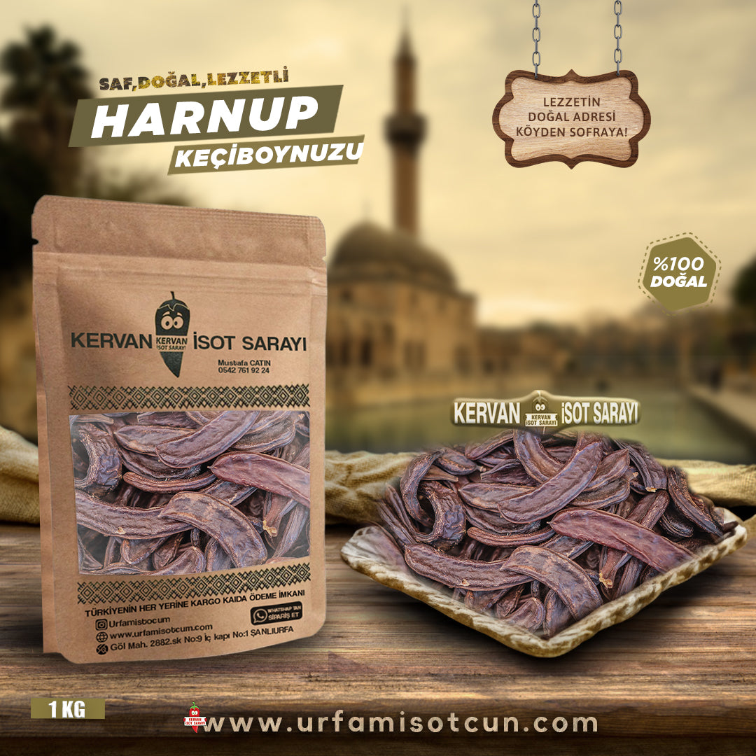Harnup keçiboynuzu