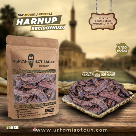 Harnup keçiboynuzu