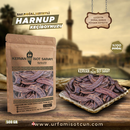 Harnup keçiboynuzu