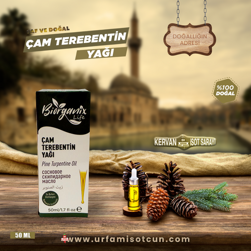 Çam Terebentin yağı
