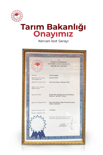 IŞGIN SİRKESİ 500GRM