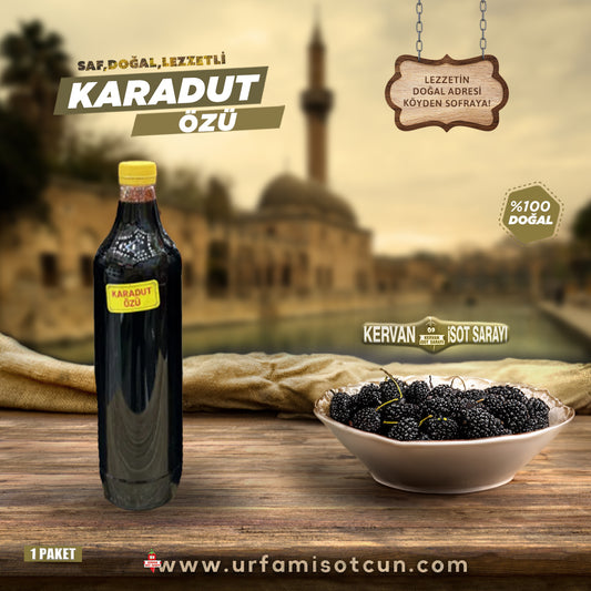 Karadut özü
