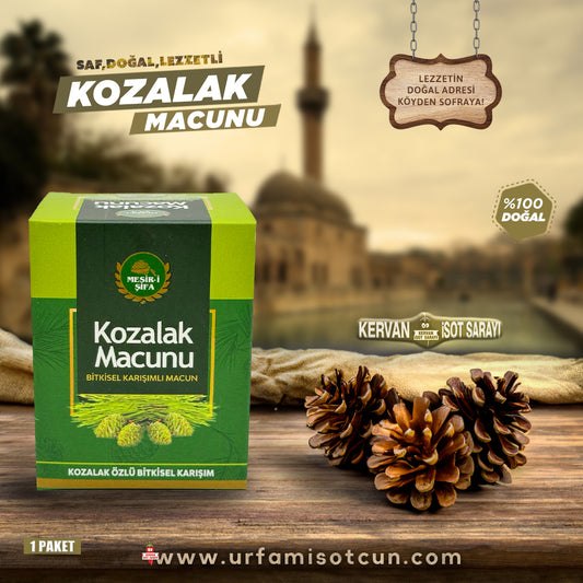 Baharat karışımlı kozalak macun